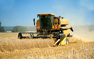 KOWR: rekordowe tegoroczne zbiory zbóż w Polsce